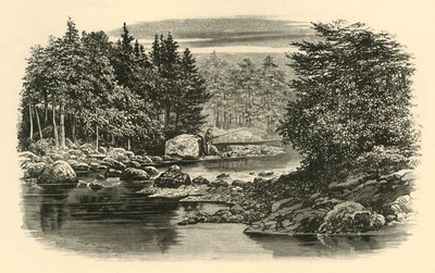 Escena del río, Langdale, c1890 de Unbekannt