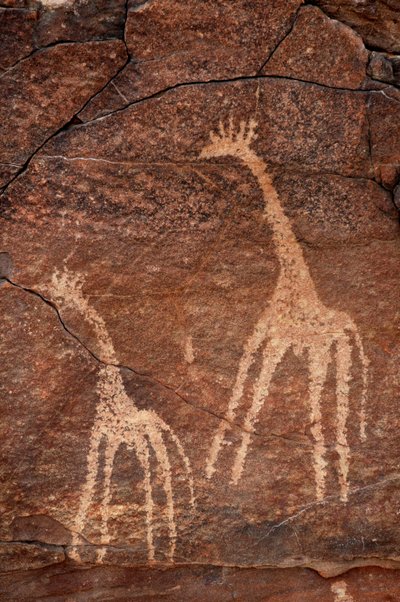 Arte rupestre, Prehistoria: (detalle) de un grabado de jirafas en el macizo de Uweinat, Egipto. (Período de 8000 a 3000 años a.C.). Fotografía de Unbekannt