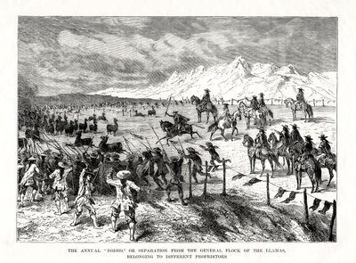 Rodeo, Sudamérica, 1877 de Unbekannt
