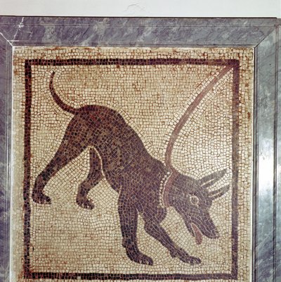 Mosaico romano de perro, Cave Canem, Pompeya, Italia de Unbekannt