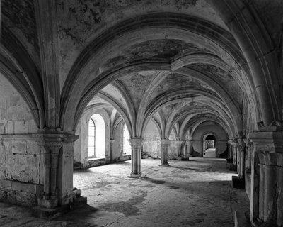 Arquitectura románica: vista de la sala capitular de la abadía cisterciense de Fontenay fundada en 1118 (Cote d