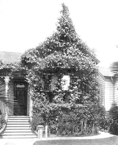 Rose Cottage, South Spring Street, Los Ángeles, California, EE.UU., c1900 de Unbekannt