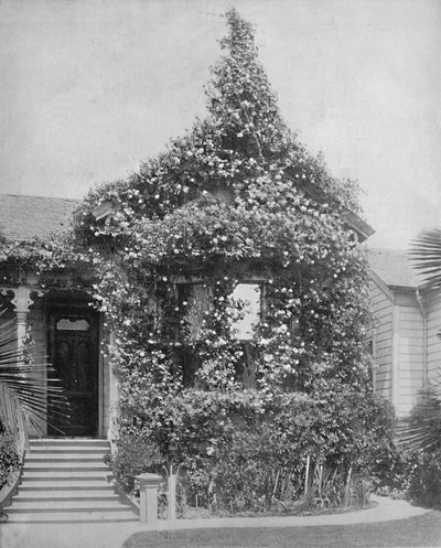 Rose Cottage, South Spring Street, Los Ángeles, California, c1897 de Unbekannt
