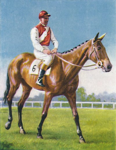 Royal Danieli, Jinete: D. Moore, 1939 de Unbekannt