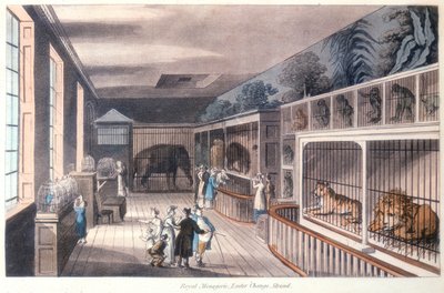 Menagerie Real, Exeter Change, Strand, Londres de Unbekannt