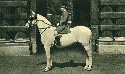 Jinete Real en Librea Escarlata, 1950s de Unbekannt