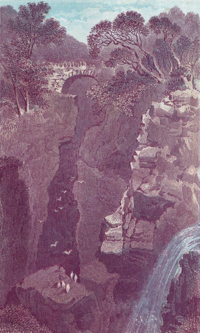 Puente Rumbling. Dunkeld, siglo XIX de Unbekannt