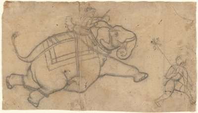 Elefante corriendo (recto), Hoja de práctica de bocetos de elefantes (verso) de Unbekannt