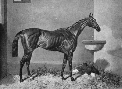 Russborough, siglo XIX, 1911 de Unbekannt