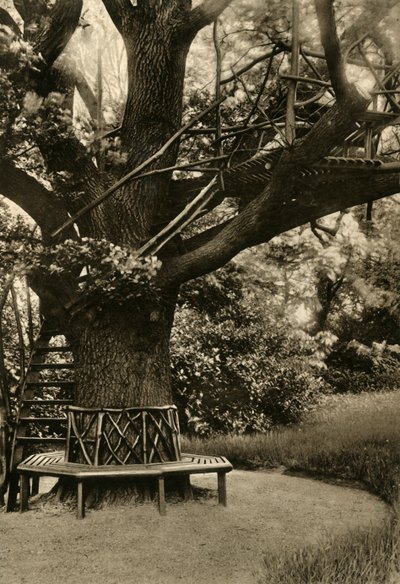 Tratamiento rústico. - Casa de verano en un árbol, una casa de té ideal, 1920 de Unbekannt