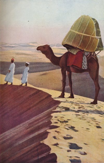 Sahara, c1930s de Unbekannt