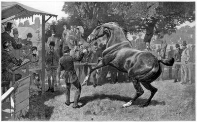 Venta de cazadores levantando una objeción, 1885 de Unbekannt