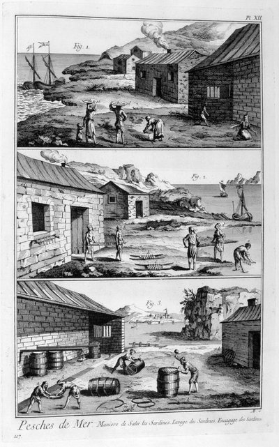 Salado, lavado, empaquetado de sardinas, 1751-1777 de Unbekannt