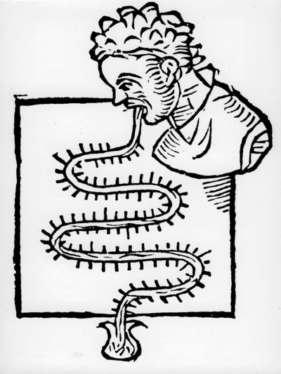 Termómetro clínico de Sanctorius, 1612 de Unbekannt
