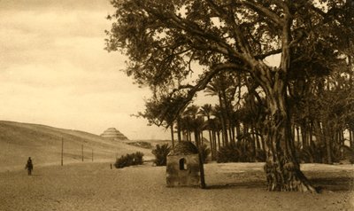 Saqqara - La Pirámide Escalonada vista desde el Sicomoro, c. 1918-c. 1939 de Unbekannt