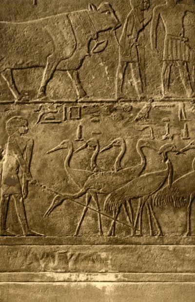 Saqqara - Pinturas murales de la tumba de Ti, c1918-c1939 de Unbekannt