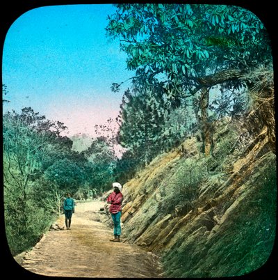 Escena en un camino, Murree, India, finales del siglo XIX o principios del XX de Unbekannt