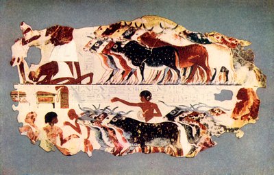 Escena que representa la conducción de un gran rebaño de ganado en una granja egipcia, c1350 a.C., 1915 de Unbekannt