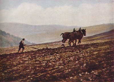 Escocia, c1930s de Unbekannt