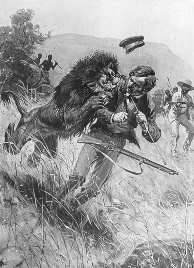 El misionero y explorador escocés David Livingstone siendo atacado por un león, África, siglo XIX de Unbekannt