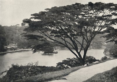 Lago, Templo del Diente Sagrado y Biblioteca en Kandy, visto desde el Victoria-Drive hacia el este, 192 de Unbekannt