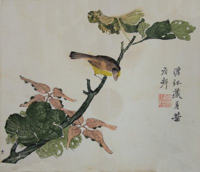 Semillas y Aleurites Cordata: Página del Manual del Jardín de Semillas de Mostaza..., 1782, 2ª edición de Unbekannt