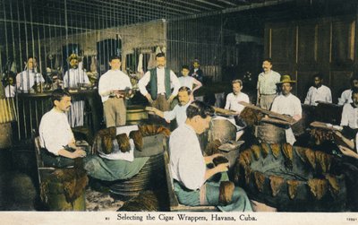 Seleccionando las envolturas de cigarros, La Habana, Cuba, c1910 de Unbekannt