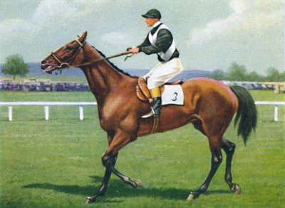 Shalfleet, Jinete: R. Perryman de Unbekannt