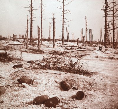 Conchas, Verdún, norte de Francia, c1914-c1918 de Unbekannt