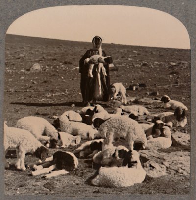 Pastor y rebaño, c1900 de Unbekannt