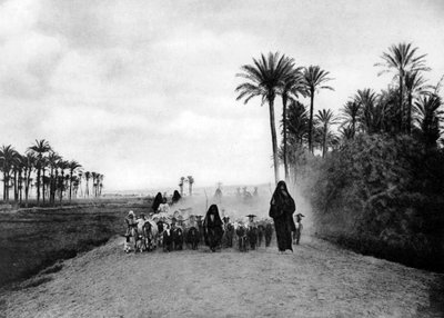 Pastoreando ovejas cerca de El Cairo, Egipto, c1920s de Unbekannt