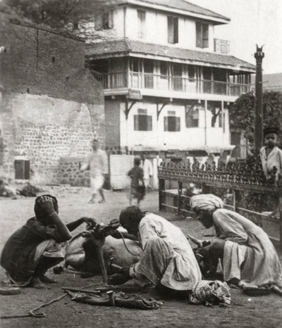 Herrando un buey, India, c1927-c1929 de Unbekannt
