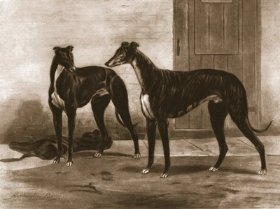 Simonian y Fullerton, c1891, 1911 de Unbekannt