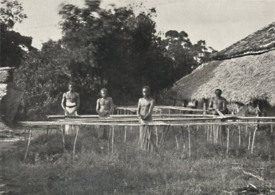 Trabajadores de canela cingaleses en el trabajo, 1926 de Unbekannt