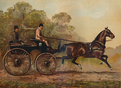 Caballo Phaeton de Arnés Simple Columbine. Propiedad de Charles Baynes Esq., 1872 de Unbekannt