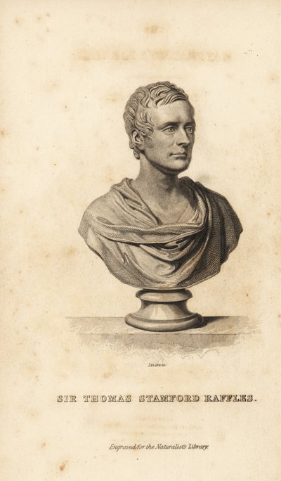 Sir Thomas Stanford Raffles, estadista, escritor y naturalista británico de Unbekannt