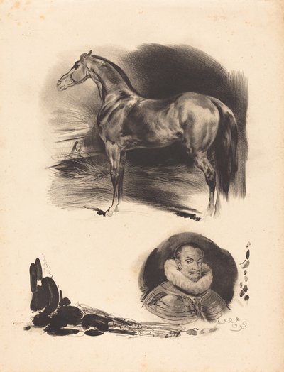 Bocetos de un caballo y un noble de Unbekannt