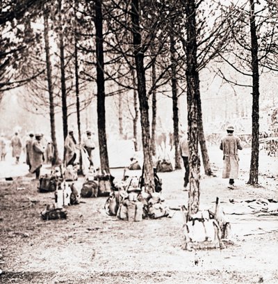 Soldados y mochilas en el bosque, c1914-c1918 de Unbekannt