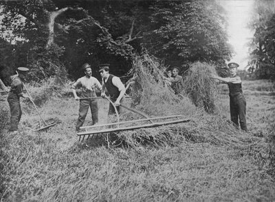 Soldados ayudando a los agricultores a recoger el heno, 1915 de Unbekannt