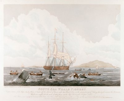 Pesca de ballenas en el Mar del Sur, 1825 de Unbekannt