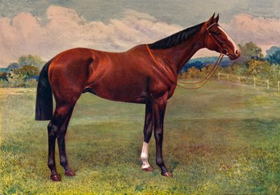 Hierbabuena, c1905 c1910 de Unbekannt