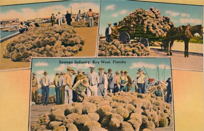 Industria de esponjas, Key West, Florida, c1940s de Unbekannt