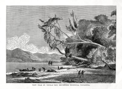 Bahía de San Nicolás, Península de Brunswick, Patagonia, siglo XIX de Unbekannt