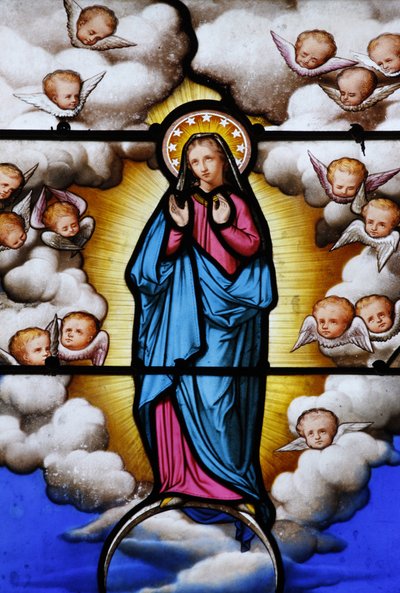 Vidriera en la catedral de Saint-Louis: Virgen María, Blois, Francia de Unbekannt