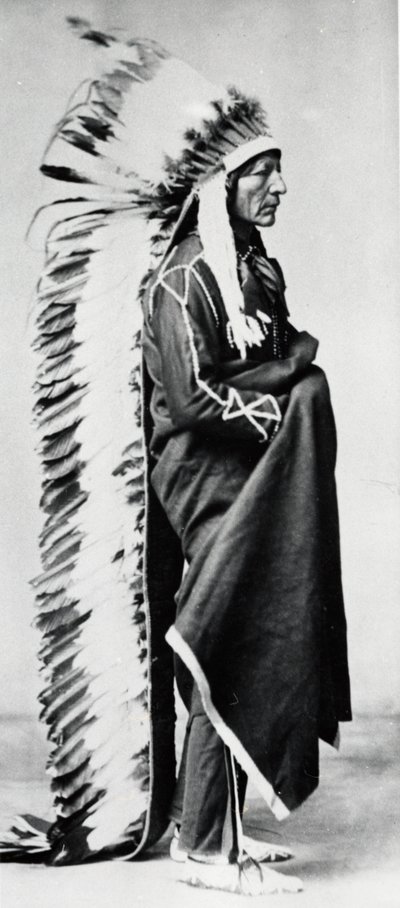 Oso de Pie, Jefe de los Sioux Dakota, Indios de las Llanuras de América del Norte, c1885-c1890 de Unbekannt