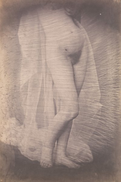 [Desnudo femenino de pie], ca. 1856 de Unbekannt