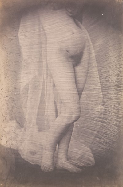 [Desnudo femenino de pie], ca. 1856 de Unbekannt