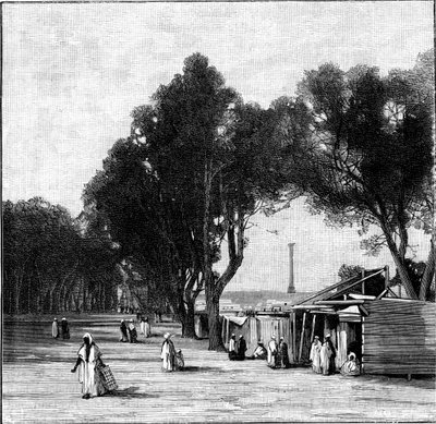 Escena callejera con la Columna de Pompeyo en la distancia, Alejandría, Egipto, 1900 de Unbekannt