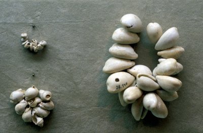 Cuerdas de conchas de cauri de Unbekannt