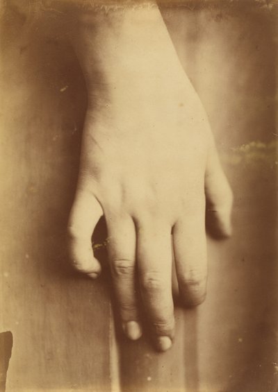 Estudio de una mano de Unbekannt